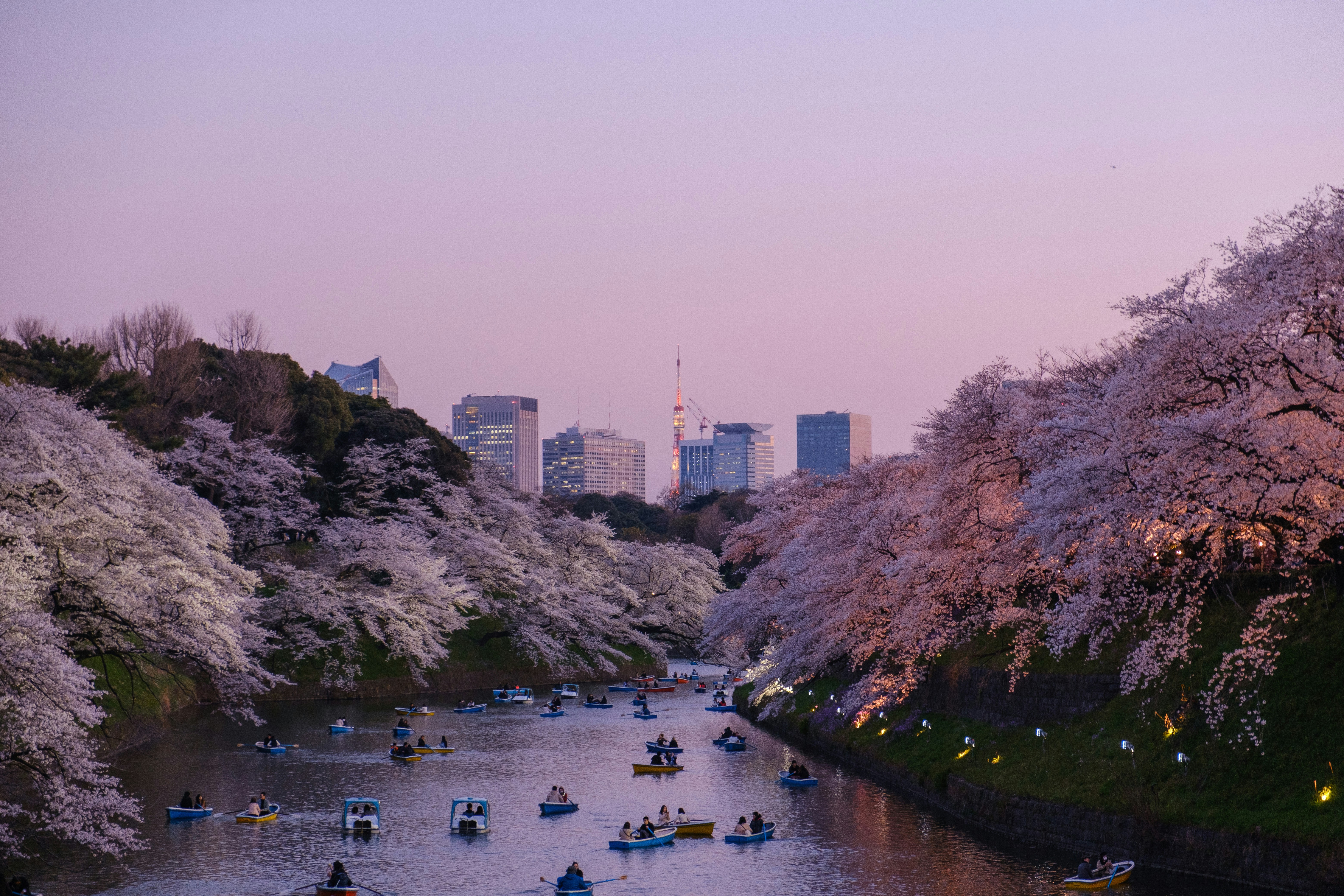 Planifica tu viaje a Japón con vista nocturna de Tokio