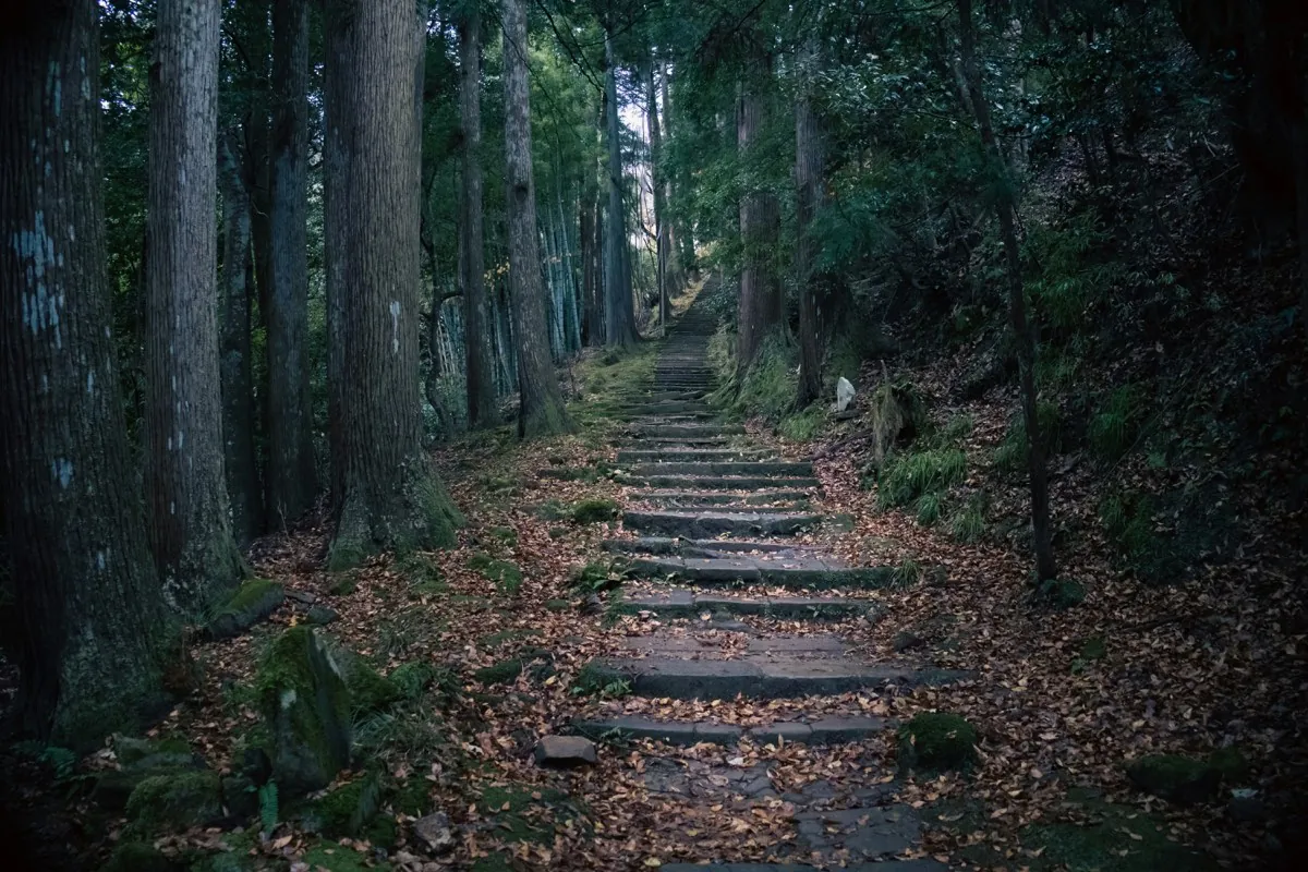 Camino de piedra entre cedros hacia el templo Onsenji en Kinosaki