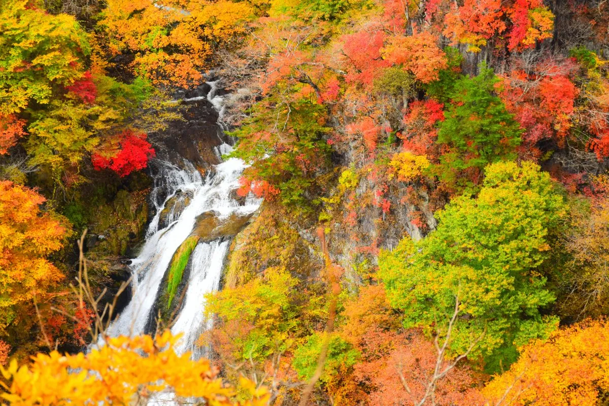 Cascada entre el follaje otoñal en el Parque Nacional de Nikko