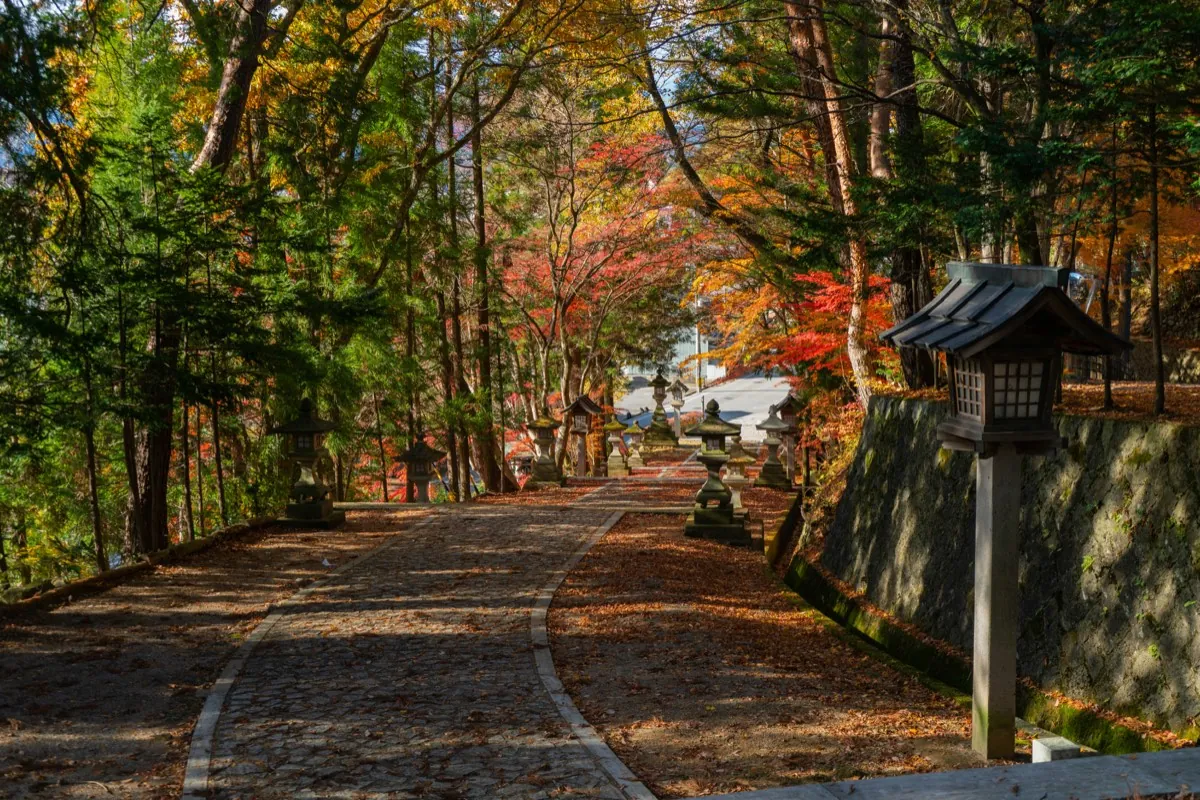 Camino arbolado con farolillos de piedra hacia un santuario de Takayama en otoño