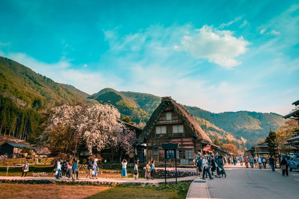 Casa gassho-zukuri de tejado de paja en Shirakawa-go con montañas y cerezo en flor