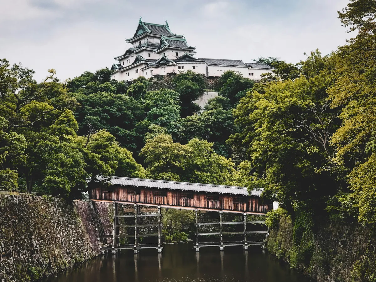 El torreón blanco del castillo de Wakayama sobre la colina arbolada, con el puente cubierto Ohashi Roka cruzando el foso