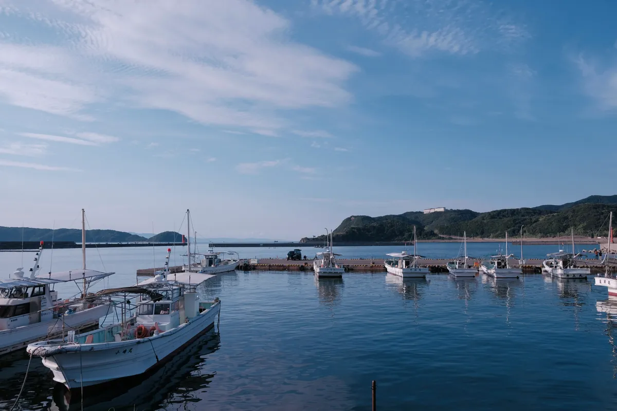 Puerto pesquero con barcas amarradas y el mar en calma en la costa de Wakayama